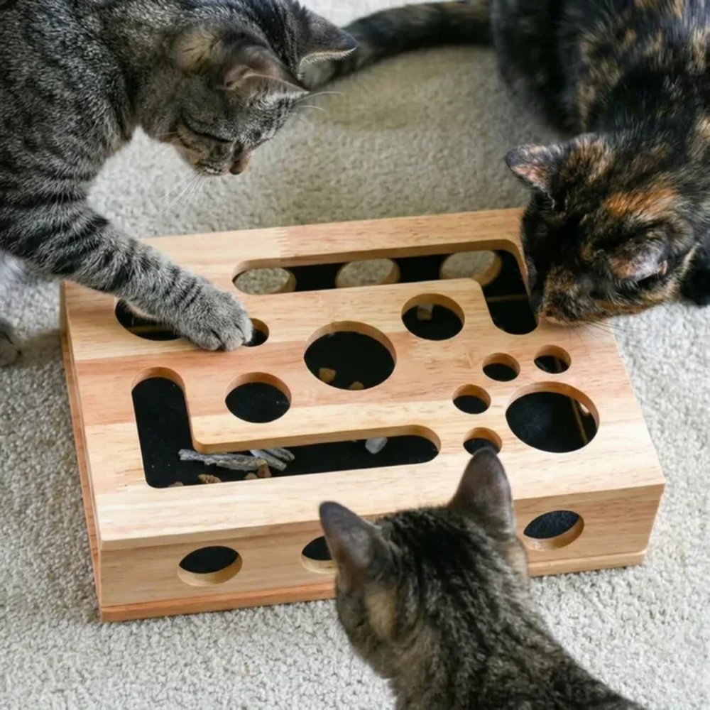 Whiskaro™ cat scratch box