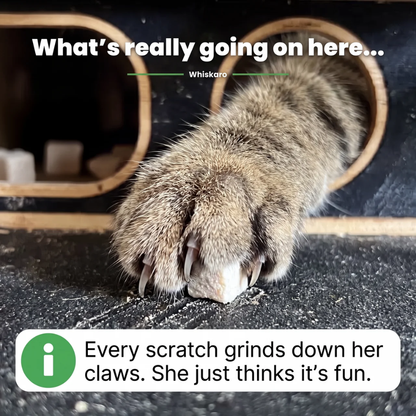 Whiskaro™ cat scratch box
