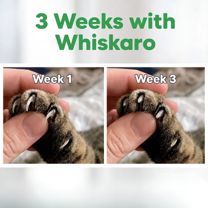 Whiskaro™ cat scratch box